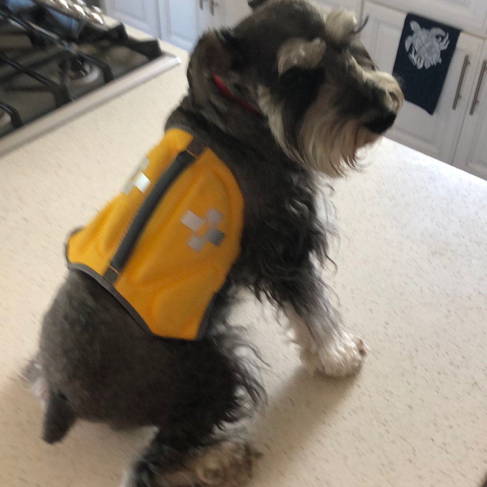 Life vest for pet!
